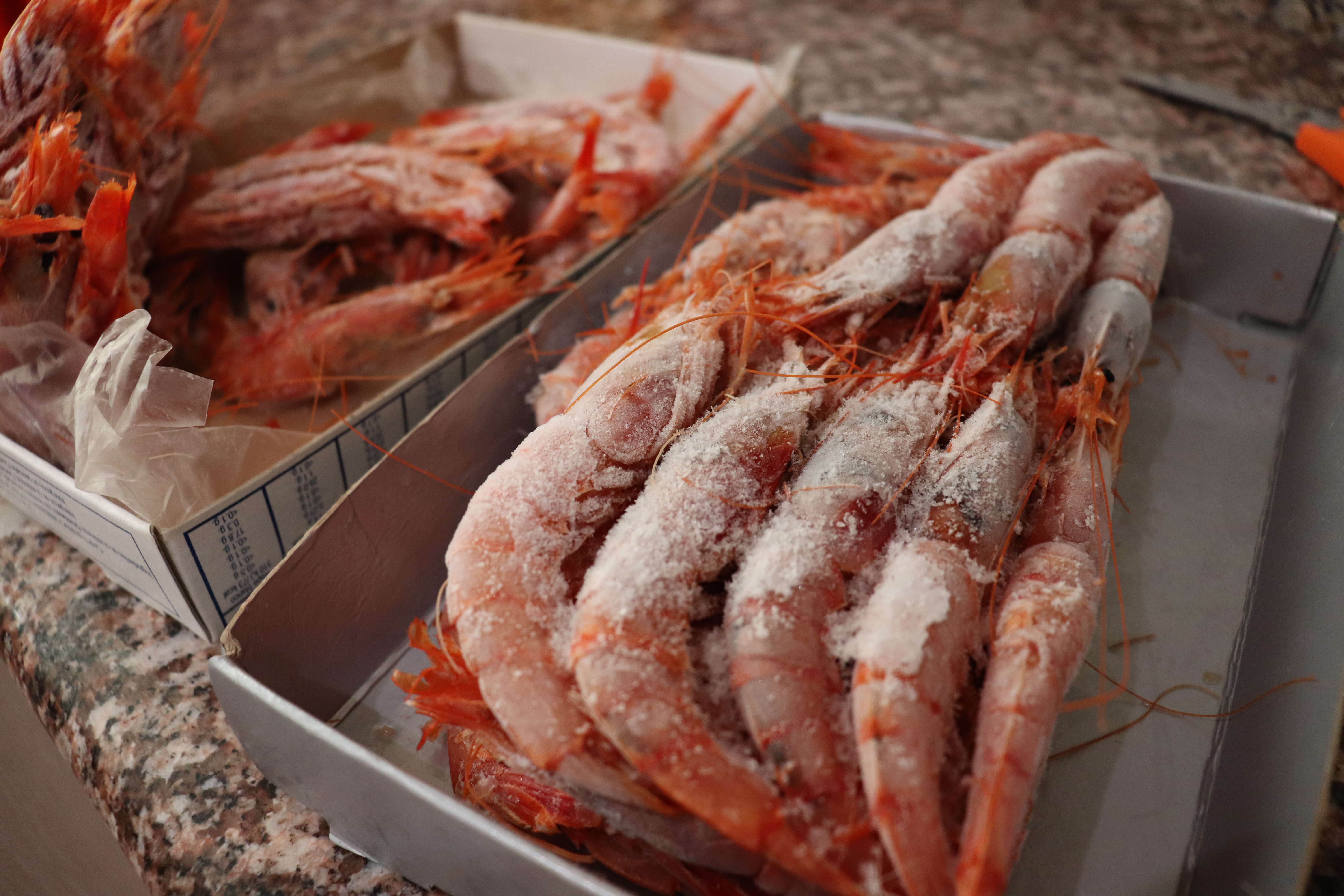 frozen shripms from spanish south coast